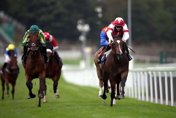 Four bets for the weekend