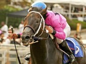 Hastings’ Raiders Target Longacres Mile in Seattle