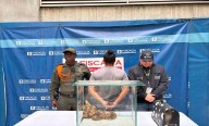 Capturaron en Medellín a hombre con boa constrictor: la alimentaba con conejos vivos