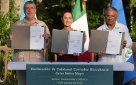 México, Guatemala y Belice crean el Corredor Biocultural de la Gran Selva Maya, el más grande del mundo