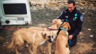 ‘Antonio de la Jungla’, el agente ‘más salvaje’ de la Policía Local de Albacete
