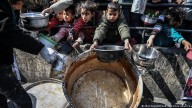 ONU alerta: más de 1.700 palestinos murieron buscando ayuda en Gaza
