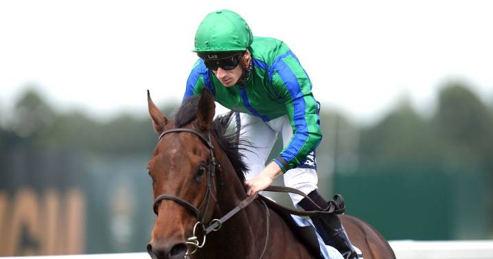 '16-1 chance should not be ruled out' – Jason Heavey's Saturday racing tips