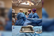 IMSS suma 78 donaciones de órganos y tejidos