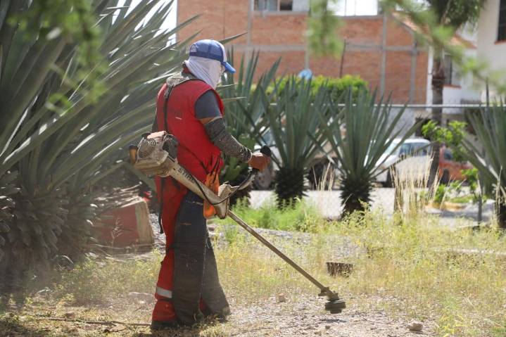 Capital al 100 revitaliza Valle Campestre con limpieza y mantenimiento integral