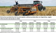 ¿Quiénes producen granos en Argentina, los pequeños o los grandes?
