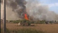 Rescatan a 30 caballos en el incendio de la finca agrícola de Manacor