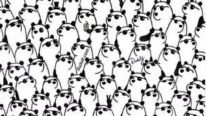 Reto visual: Encuentra a los 2 pandas sin gafas en menos de 10 segundos