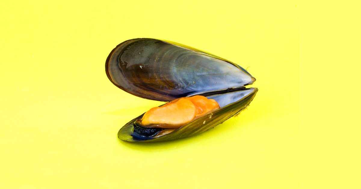 11 Vitamin B12-Rich Foods for Brain Health