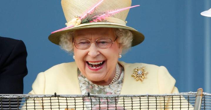 Queen Elizabeth 'refused to open airport terminal' after cousin's gun mistake