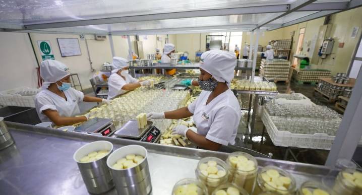 Empleo en el Perú: Cinco ciudades presentaron las más altas tasas de actividad en el segundo trimestre