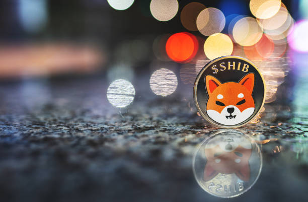 Shiba Inu 699,000% Imbalance: What Happened To Trigger It?
