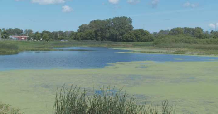 "Favorable water quality" despite wastewater overflow