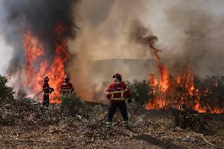 ‘We’re being cooked alive:’ Europe burns as temperatures soar above 100 degrees