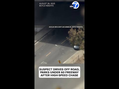 Chase suspect drives off road, abandons car under freeway