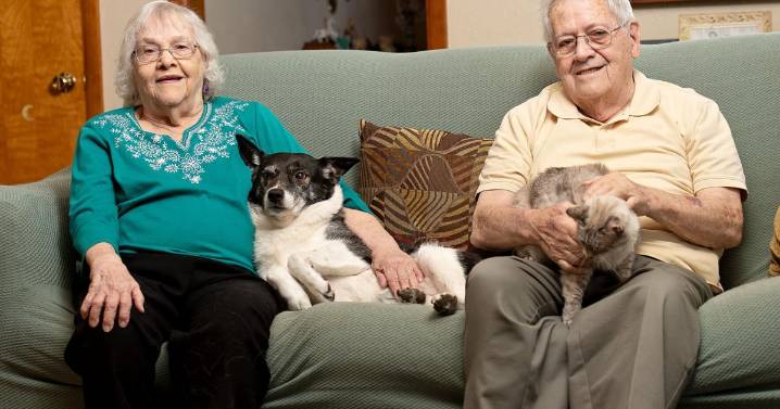 A gamble that paid off: Front Royal couple celebrates 70th wedding anniversary