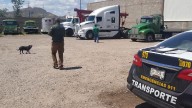 Al corralón tráiler de chofer abusón que tomó carril del Bowi