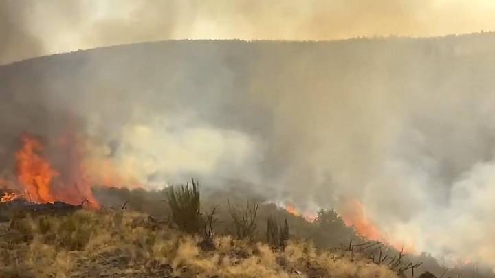 Ecologistas exige "suspender de inmediato" la caza en Castilla y León por los incendios