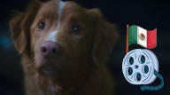 ¿Se estrenará la película de terror Good Boy en México?