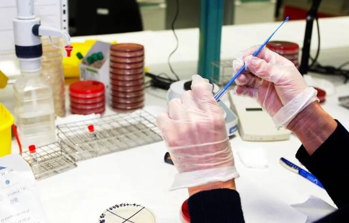 Brote de salmonella en dos hospitales de Gran Canaria