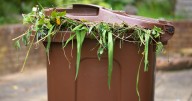 West London council's £70 green waste service falls 14k short of sign