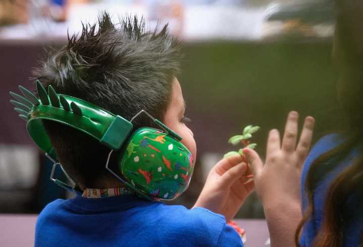 Diputados avanzan discusión de nueva Ley de Autismo