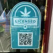 A dozen NY cannabis shops sue state over changed school