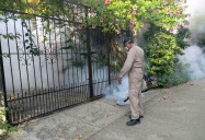 A la baja considerablemente los casos de dengue en SLP en 2025