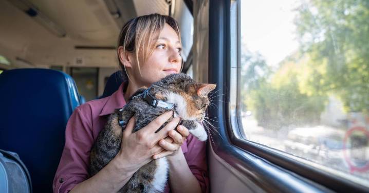 Woman fined £100 after passenger complains her cat 'miaows too loudly' on train