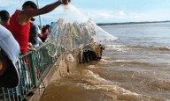 ¡Emergencia! El río Orinoco aumentó un pelín más (+ fotos)