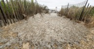 New Jersey declares state of emergency ahead of Hurricane Erin