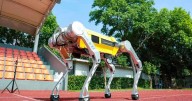 Un robot cuadrúpedo chino estableció el récord Guinness en 100 metros lisos: “En el camino correcto”
