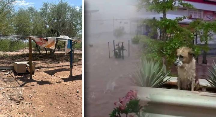 Piden apoyo para refugio canino R14 Control tras sufrir inundaciones por lluvias en Hermosillo