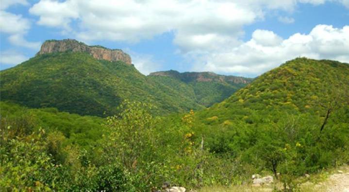 Llevarán indígenas de Oaxaca internet a tarahumaras en la Sierra