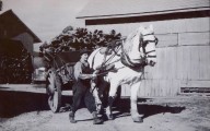 Salz Tannery’s artisanal golden age | Ross Eric Gibson, Local History