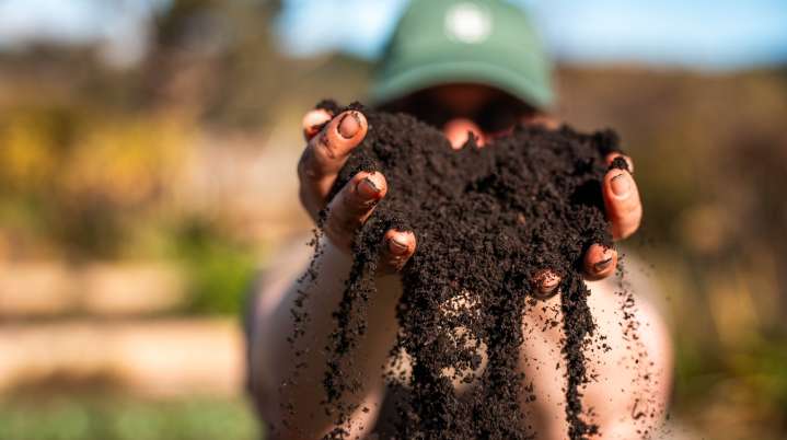 What Your Garden's Soil Color Really Means And Why It Matters