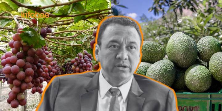 “No es motivo de preocupación”: Ángel Manero resta importancia a investigación de cadmio en palta y suspensión de uva peruana en Ecuador