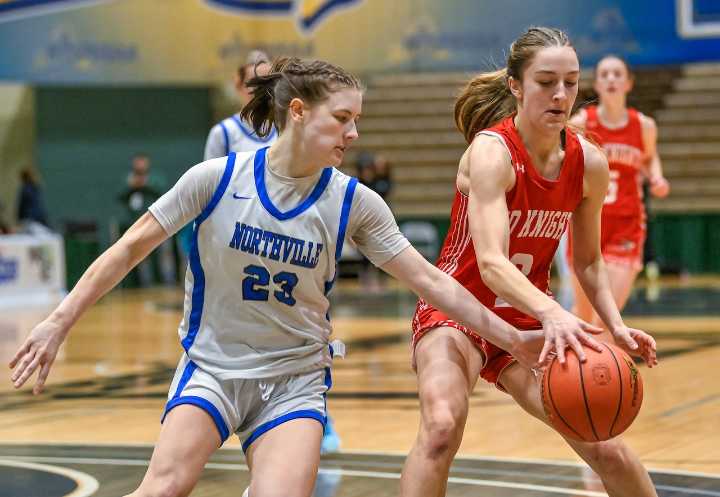 Upstate NY school, ex-coach sued over hair-pulling incident at girls basketball game