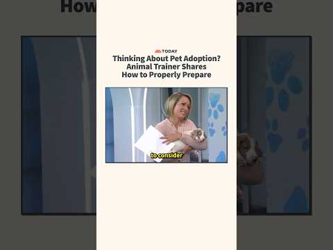 Thinking About Pet Adoption?