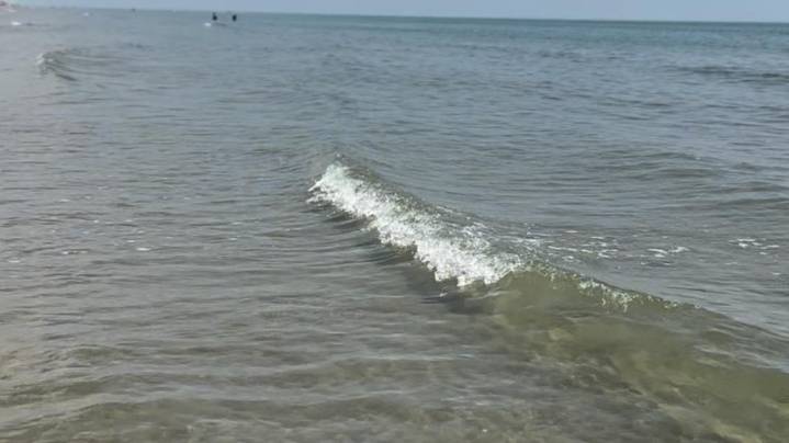 Check it out! Clear water in Galveston