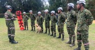 Refuerzan búsqueda de Valeria en Cundinamarca con soldados y perros rescatistas