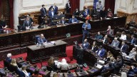 Lilia Lemoine se paró para tapar la cámara cuando hablaba Marcela Pagano y se desató un bochorno en la Cámara de Diputados