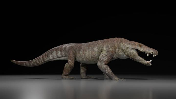 El nuevo "hipercarnívoro" de la Patagonia, pariente del cocodrilo, pesaba 250 kilogramos