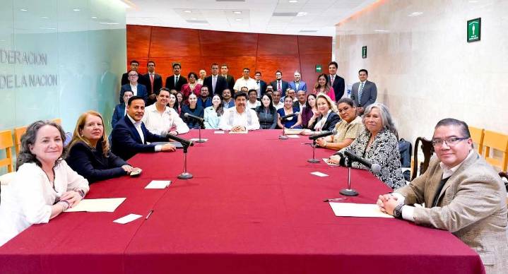Suprema Corte busca regular audiencias públicas con participación ciudadana