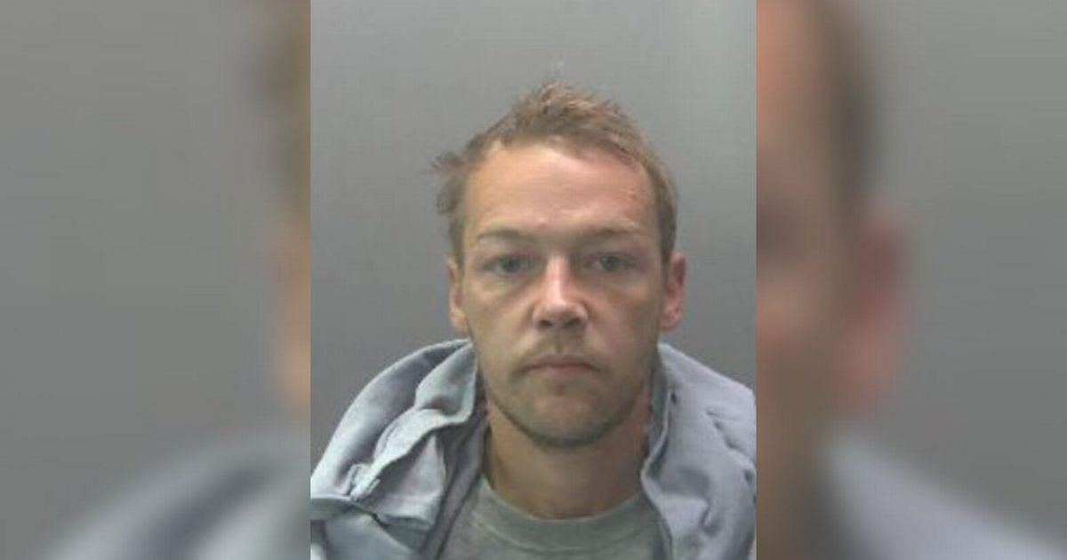 Thief 'sauntered' out of shop with pizza oven on his shoulder