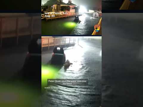 Good Samaritans rescue sinking driver from creek