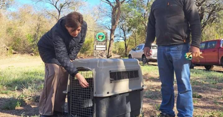 Conservar la biodiversidad es una política de Estado en Jujuy