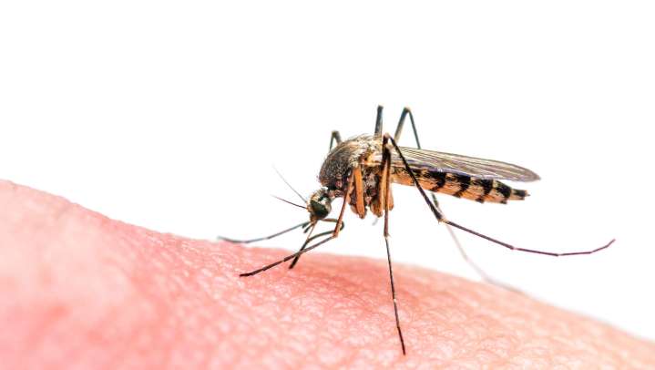 Ionia County reports first human case of West Nile in 2025