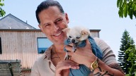 How to watch, stream NBC’s Clear The Shelters TV special