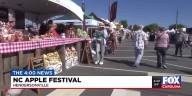 NC Apple Festival in Hendersonville